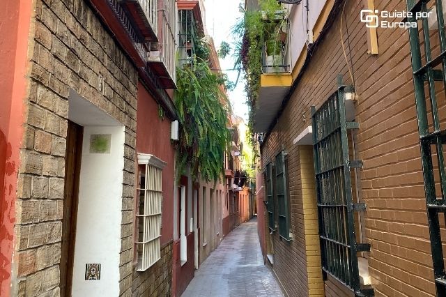 La Calle Verde es uno de los lugares que debes visitar en Sevilla. 
