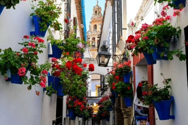 La Calleja de las Flores es uno de los lugares que debes visitar en Córdoba